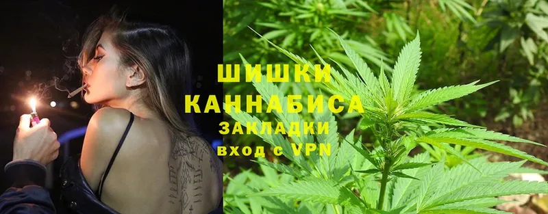 Канабис OG Kush  сколько стоит  Зубцов 